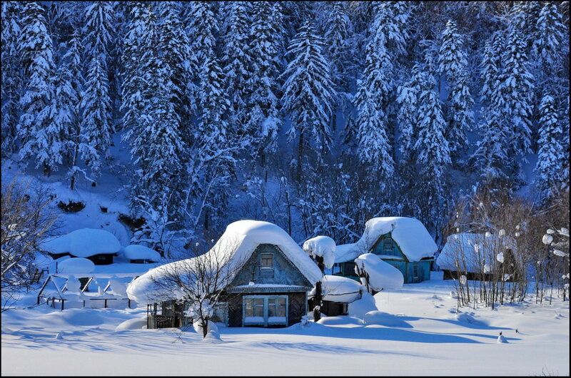 Snow-covered Houses — Blue, Serene