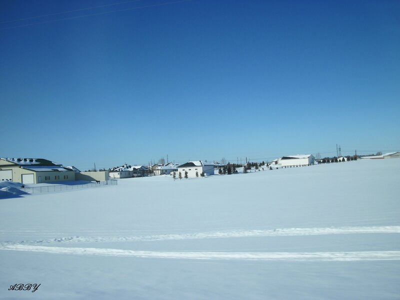 Snow-covered Houses — White, Serene, Winter, Photograph, Trees, Power Lines