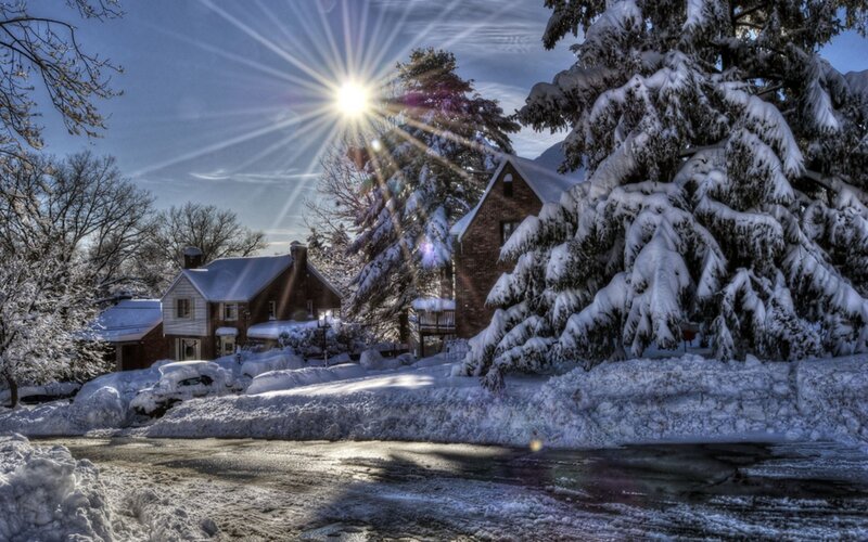 Snow-covered Houses — White, Serene, Winter, Photograph, Trees, Sun, Blue