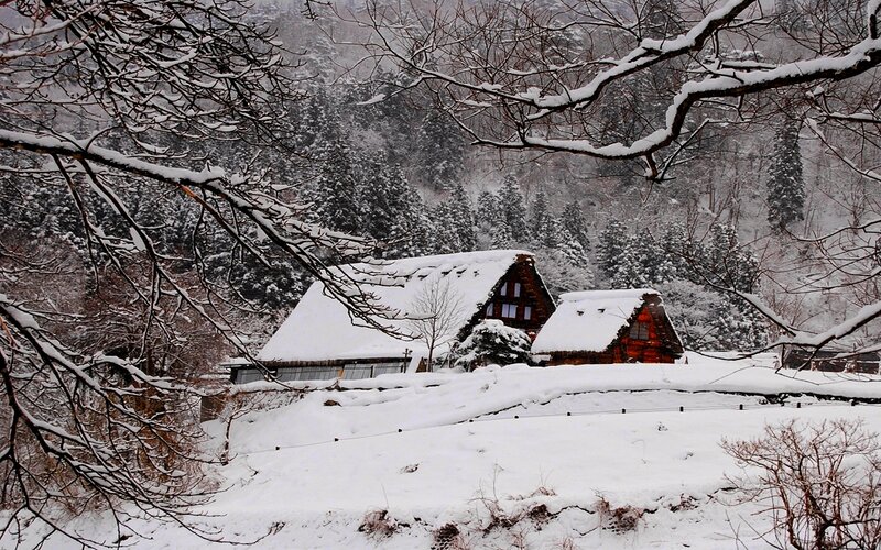 Snow-covered Houses — White, Serene, Winter, Photograph, Trees