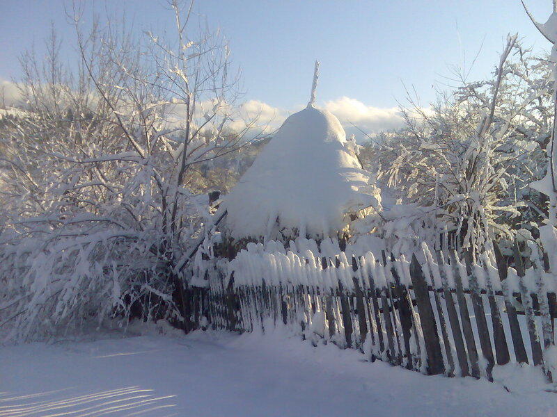 Snow-covered Hut