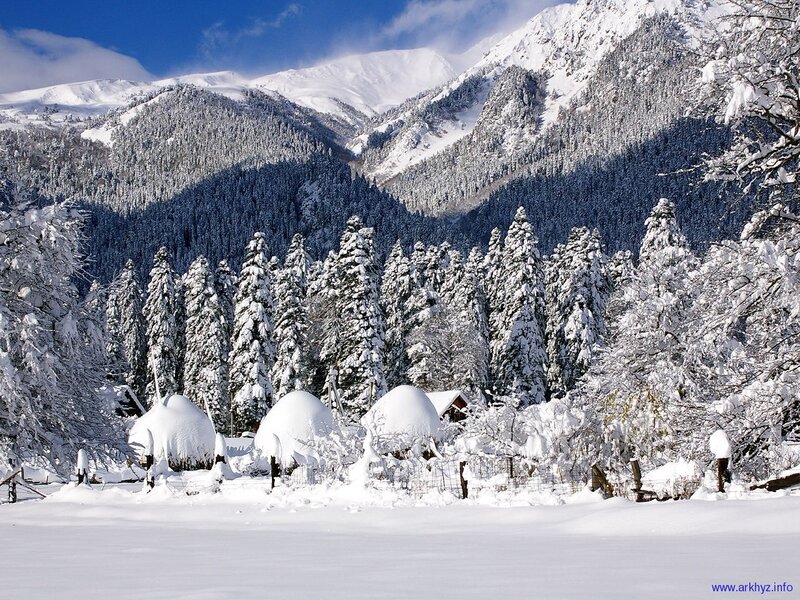 Snow-covered Huts in Forest