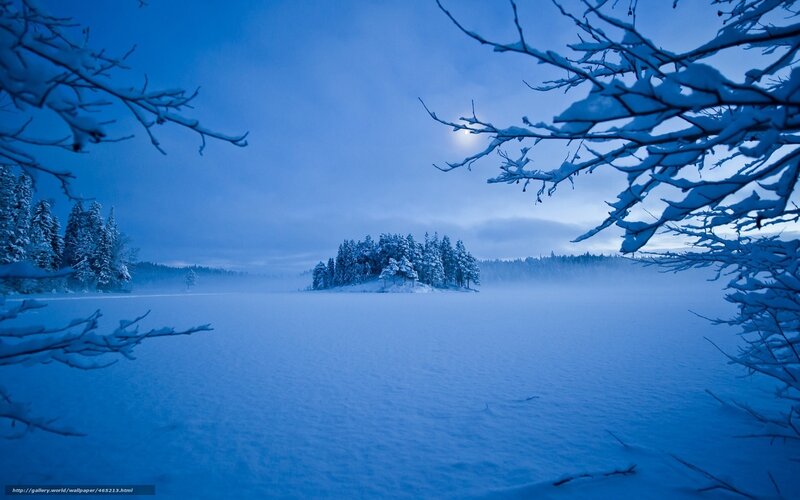 Snow-covered Island in Lake — Blue, Serene, Night, Photograph, Trees
