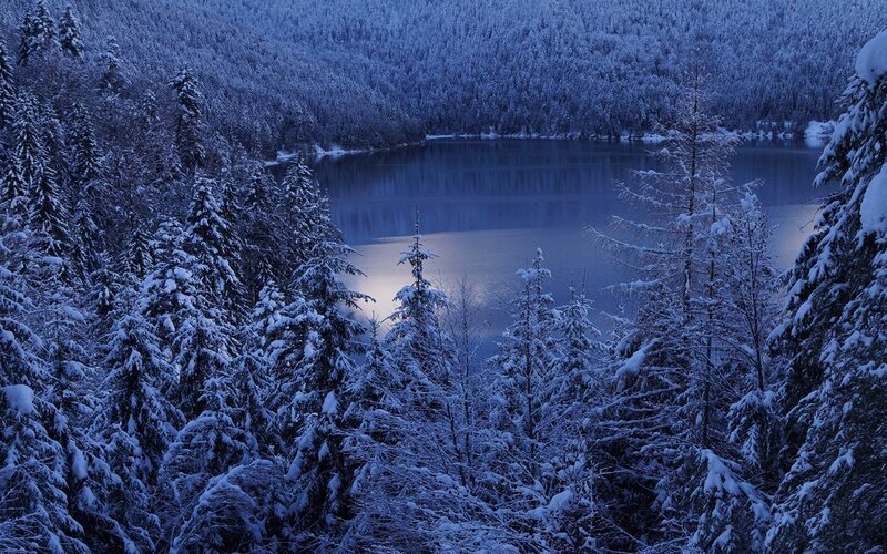 Snow-covered Lake and Forest — Blue, Serene