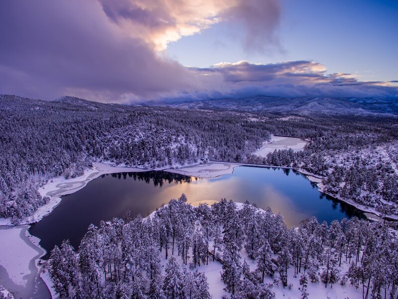 Snow-covered Lake and Forest — Blue, Serene, Winter