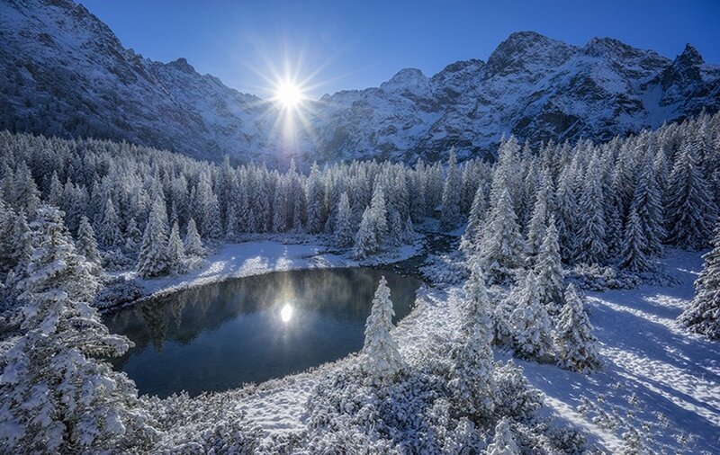 Snow-covered Lake and Forest