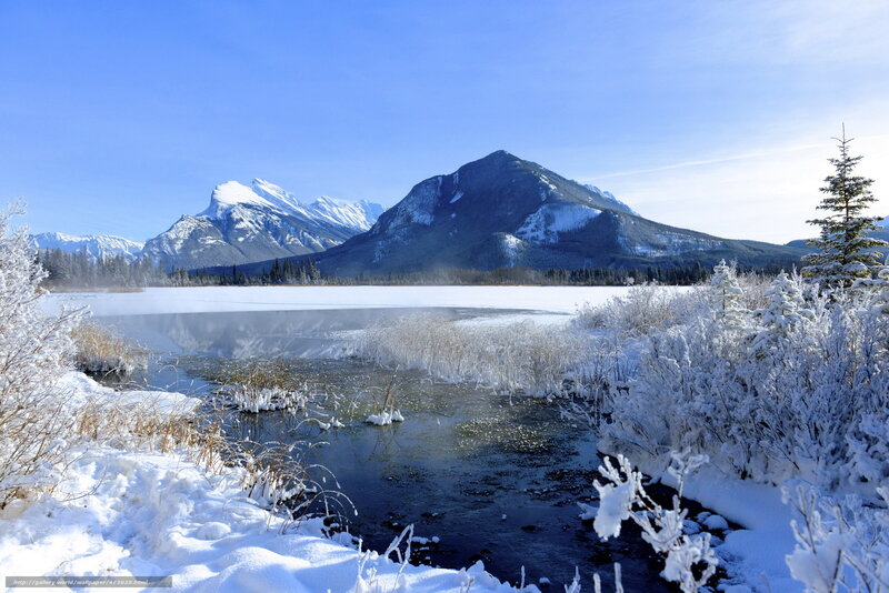 Snow-covered Lake and Mountains — Blue, Serene, Winter, Photograph, Trees, Ice