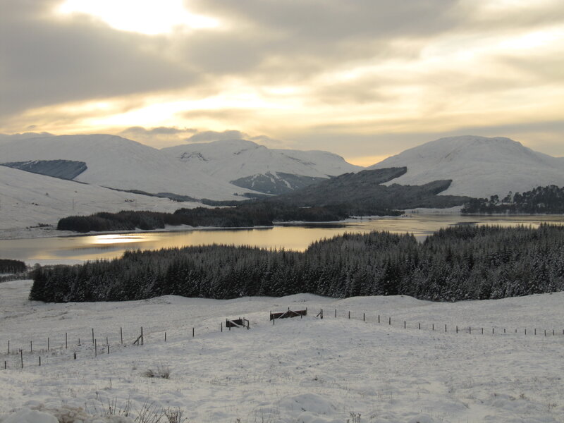 Snow-covered Lake and Mountains — White, Serene, Winter, Photograph, Forest, Gray