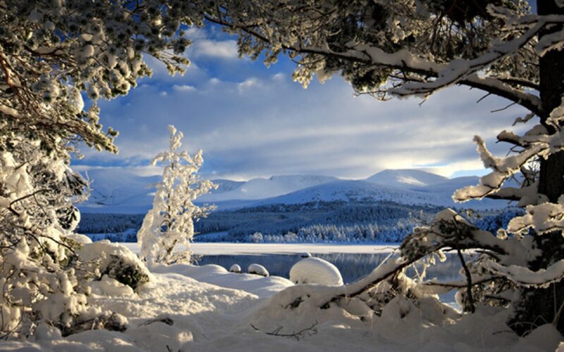 Snow-covered Lake and Mountains — White, Serene, Winter, Photograph, Trees