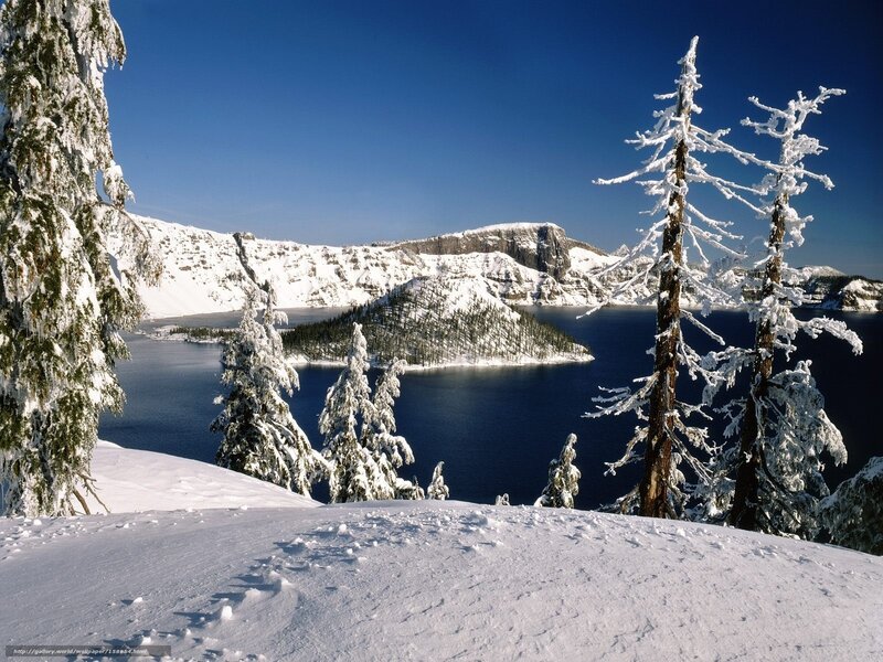 Snow-covered Lake and Trees — Blue, Serene
