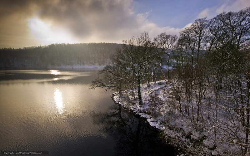 Snow-covered Lake and Trees — Blue, Serene, Winter