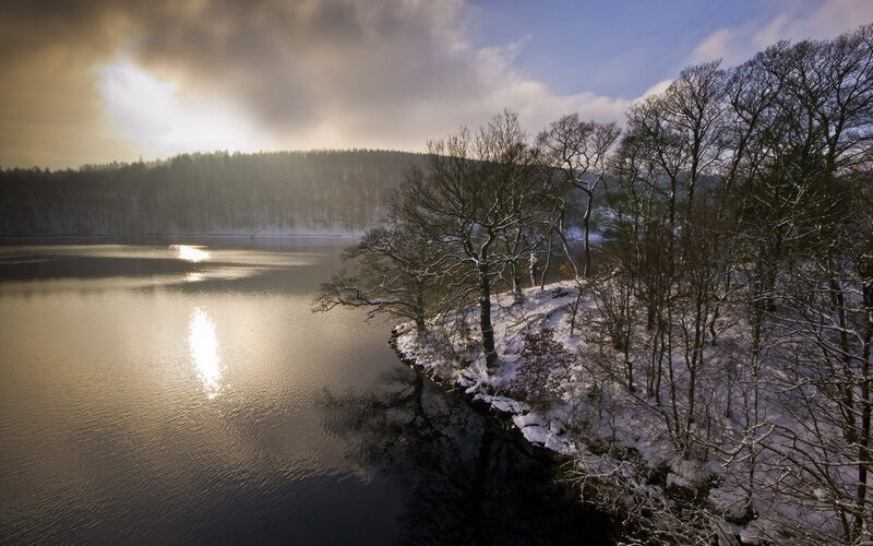 Snow-covered Lake and Trees — Blue