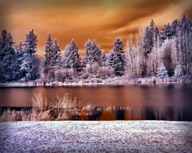 Snow-covered Lake and Trees