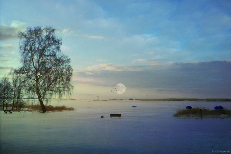 Snow-covered Lake at Dusk — Blue, Serene, Winter