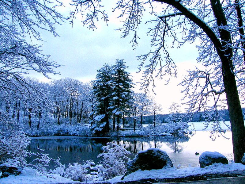 Snow-covered Lake — Blue, Serene