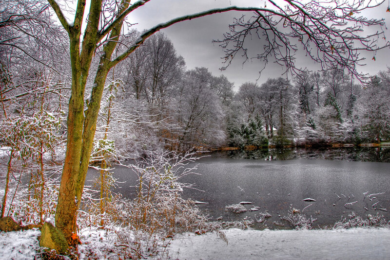 Snow-covered Lake in Winter