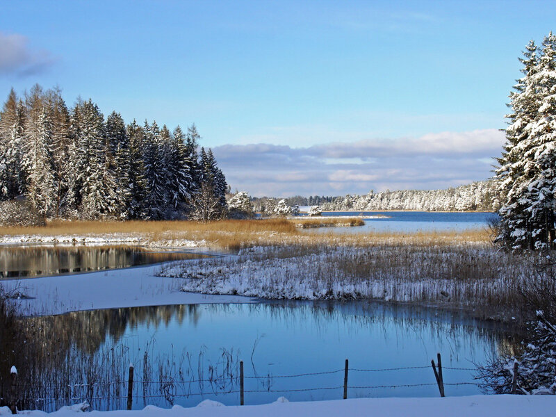 Snow-covered Lake Landscape — Blue, Serene, Winter