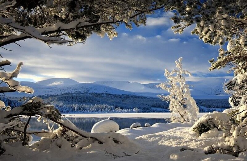 Snow-covered Lake Landscape — White, Serene