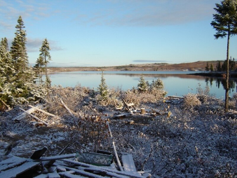 Snow-covered Lake Shore — Blue, Serene, Winter