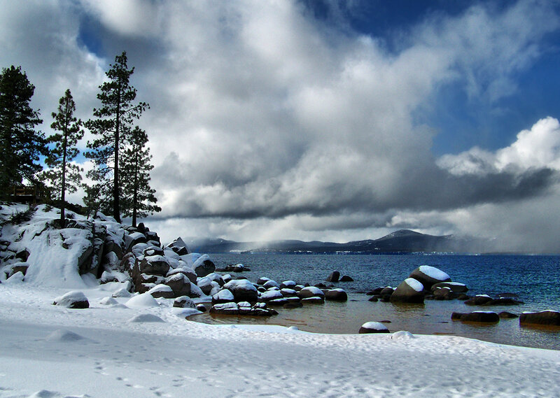 Snow-covered Lake Shore — White