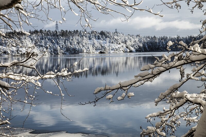 Snow-covered Lake — White, Serene, Winter, Photograph, Trees, Branches