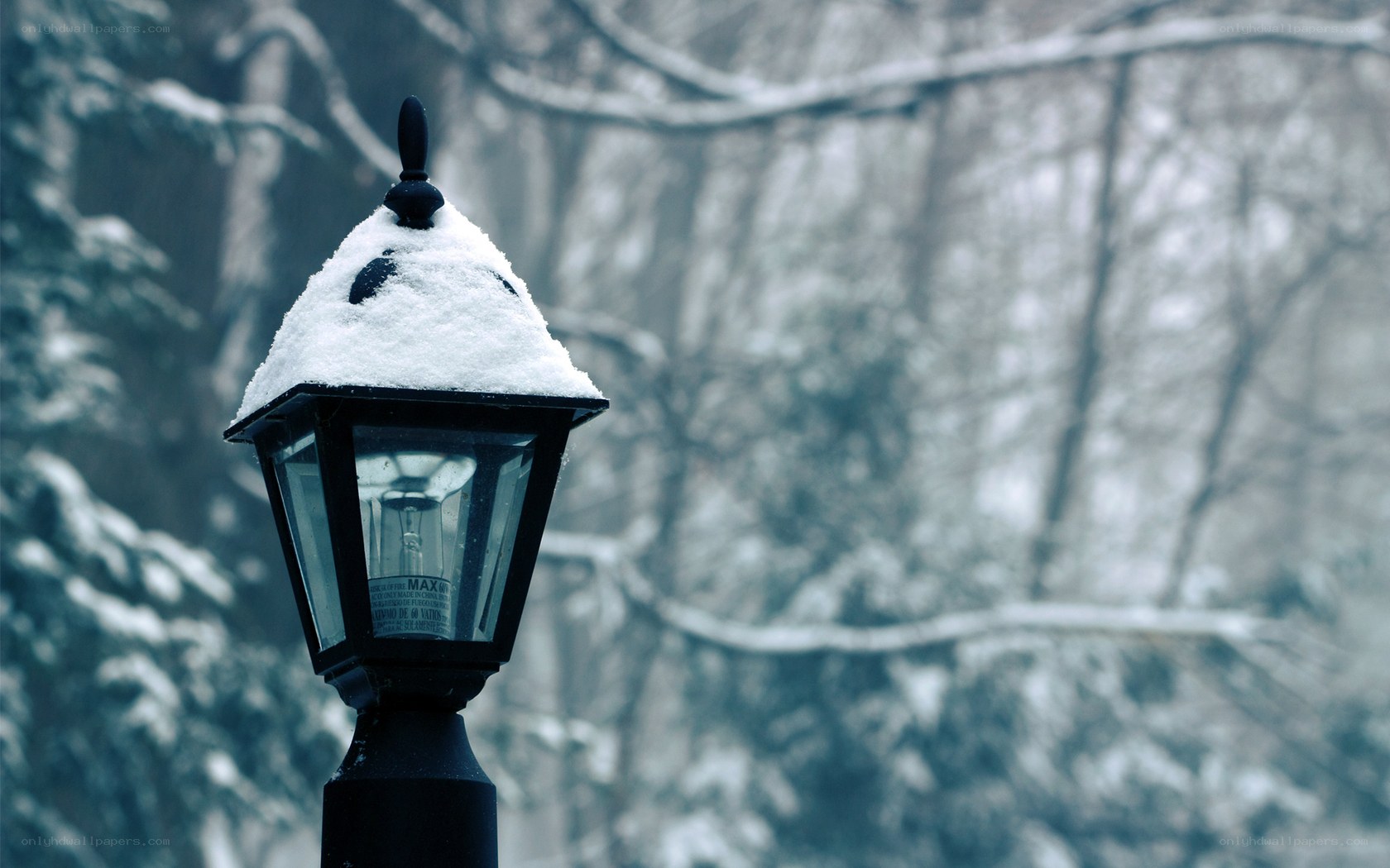 Snow-covered lamp post in winter