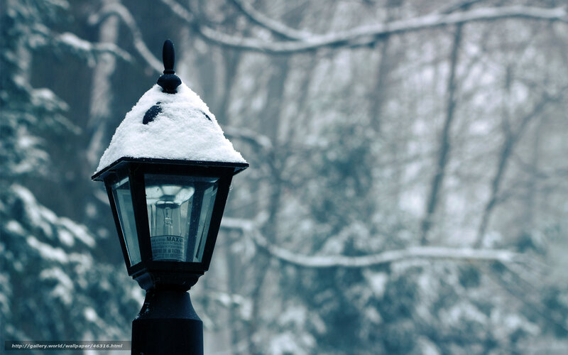 Snow-covered lamp post in winter