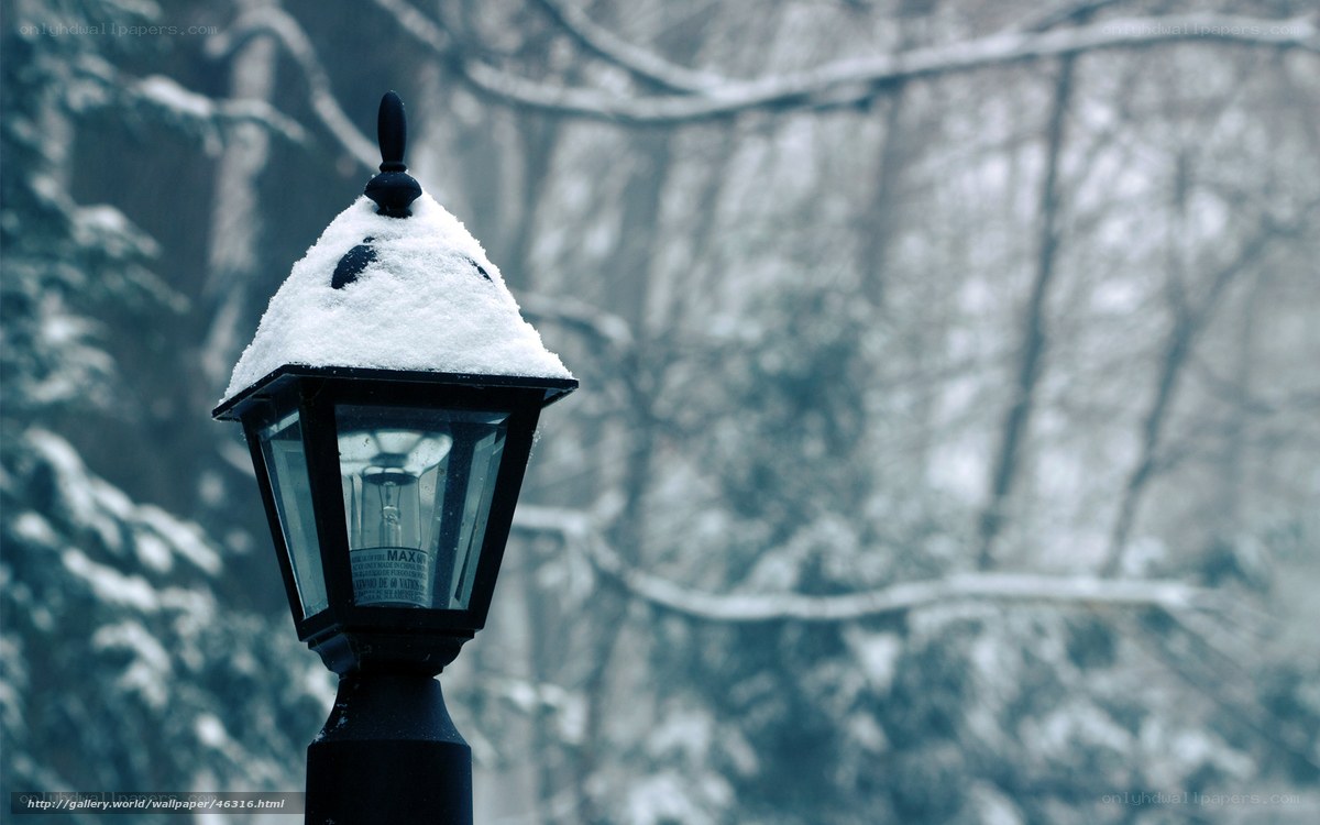 Snow-covered lamp post in winter