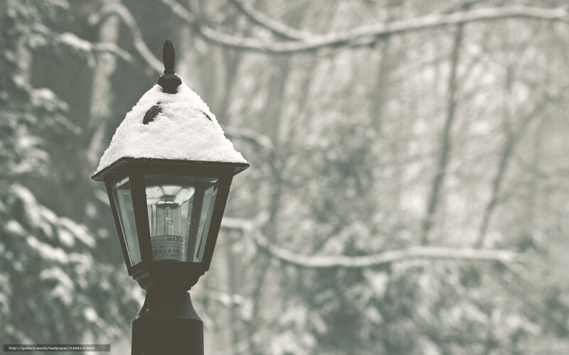 Snow-covered lamp post