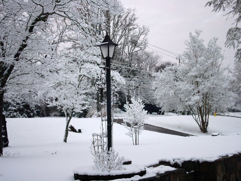 Snow-covered Lamp Post — White