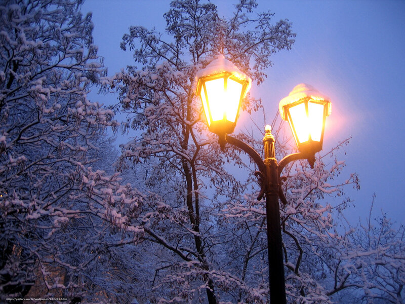 Snow-covered Lamppost