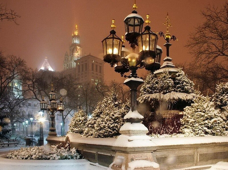 Snow-covered Lamppost — White