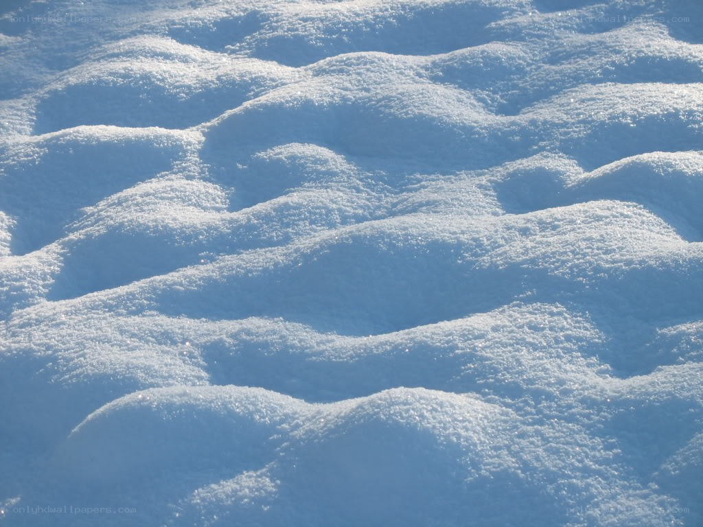 Snow-covered landscape
