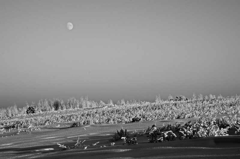 Snow-covered Landscape — Black, Serene, Night