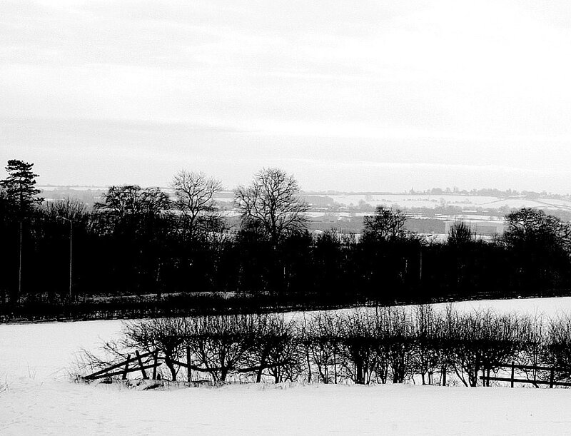 Snow-covered Landscape — Black, Serene, Winter, Photograph