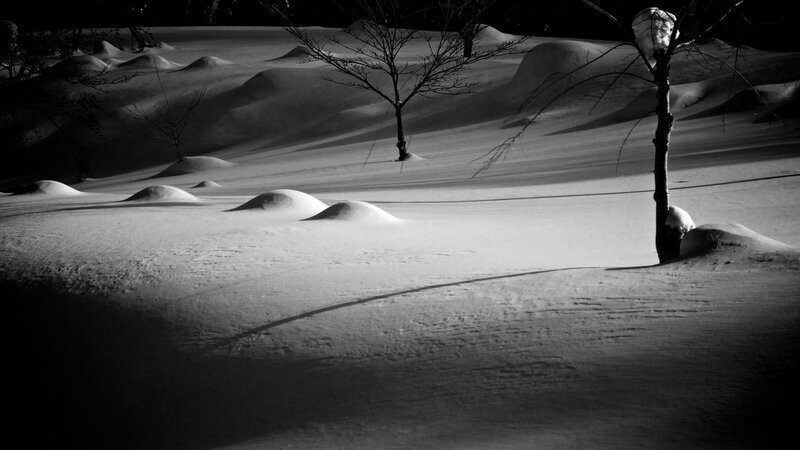 Snow-covered Landscape — Black, Serene, Winter