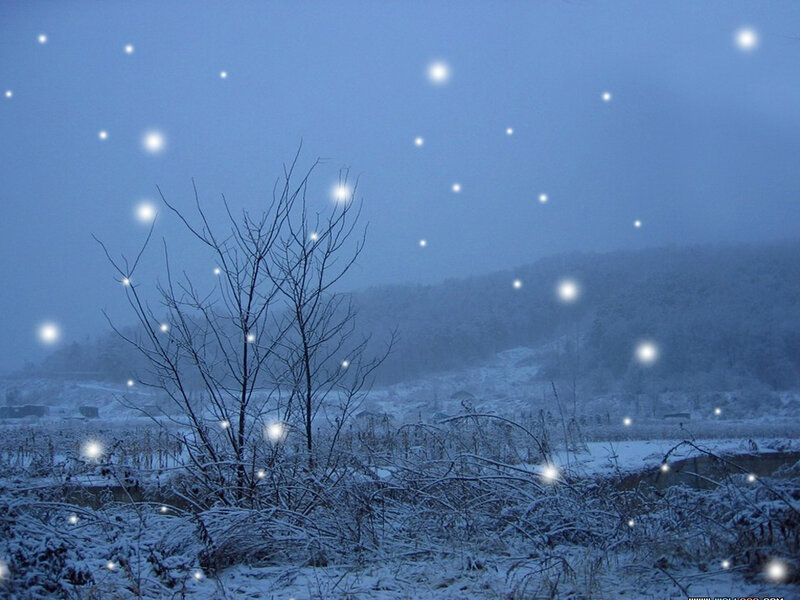 Snow-covered Landscape — Blue, Calm