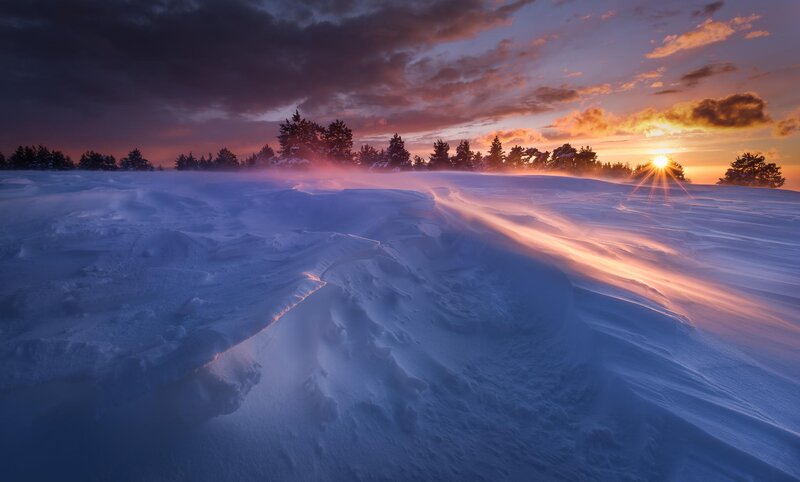 Snow-covered Landscape — Blue, Dramatic, Sunset, Photograph, Trees