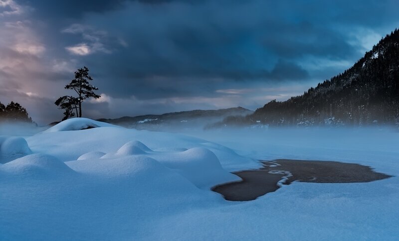Snow-covered Landscape — Blue, Dramatic, Winter, Photograph, Trees, Fog