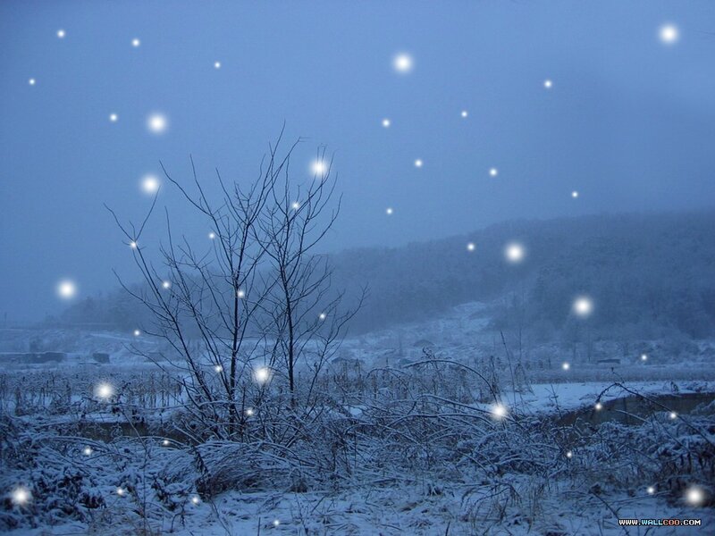 Snow-covered Landscape — Blue, Serene, Night, Photograph