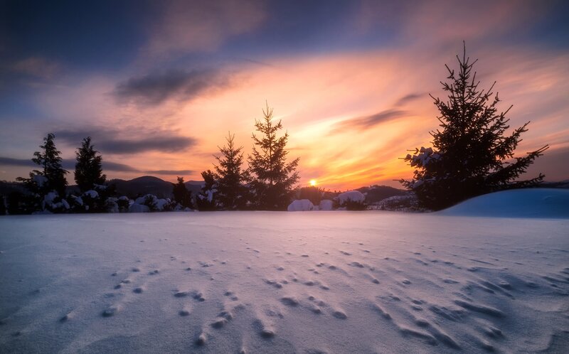 Snow-covered Landscape — Blue, Serene, Sunset, Photograph, Trees