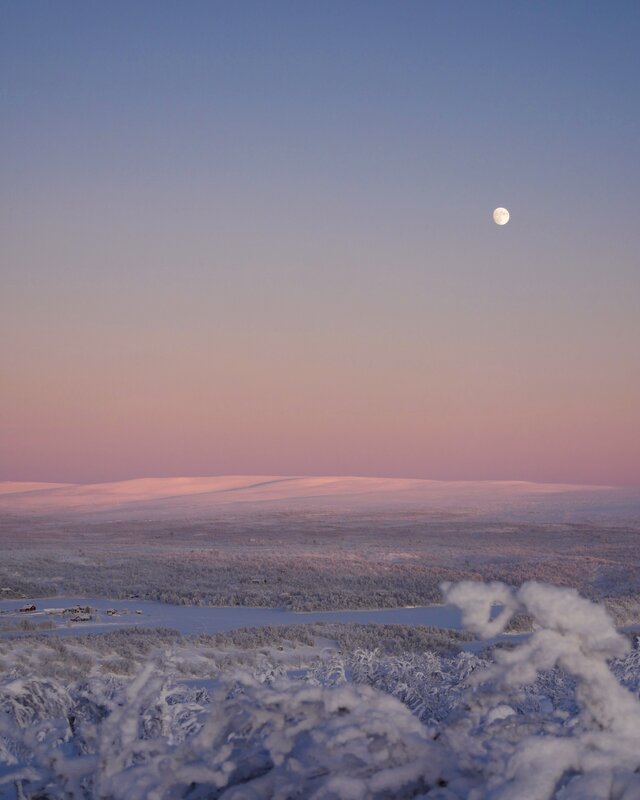 Snow-covered Landscape — Blue, Serene, Winter, Photograph, Moon