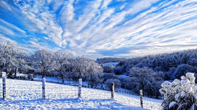 Snow-covered Landscape — Blue, Serene, Winter, Photograph, Trees, Fence