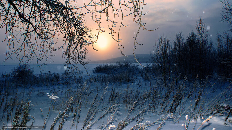 Snow-covered Landscape — Blue, Serene, Winter, Photograph, Trees, Sun