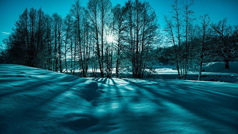 Snow-covered Landscape — Blue, Serene, Winter, Photograph, Trees, Sunlight