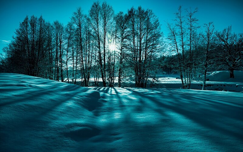 Snow-covered Landscape — Blue, Serene, Winter, Photograph, Trees