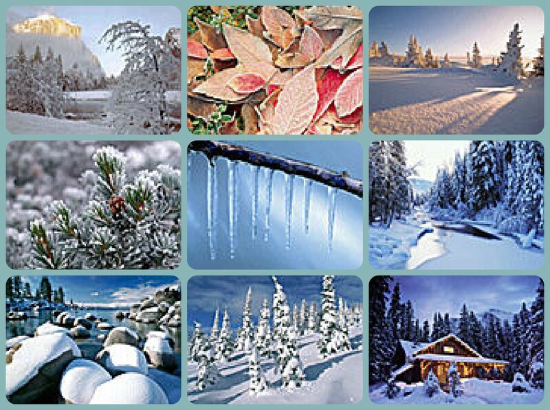 Snow-covered Landscape Collage