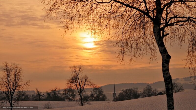 Snow-covered Landscape — Orange, Serene, Sunset