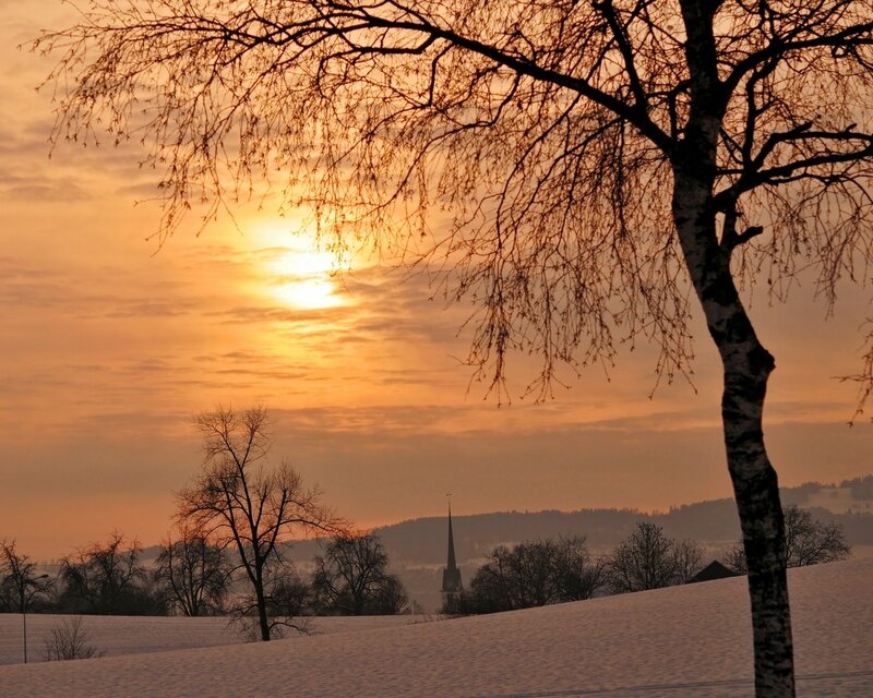 Snow-covered Landscape — Orange, Serene, Winter, Photograph