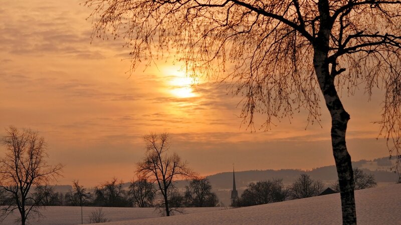 Snow-covered Landscape — Orange, Serene, Winter